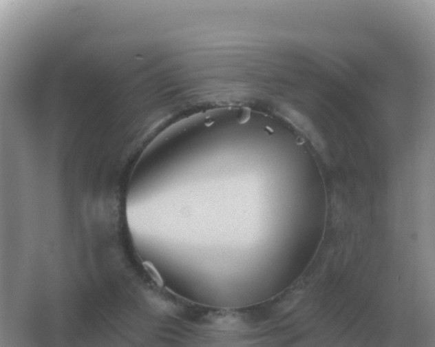 X0000067510113200604150143