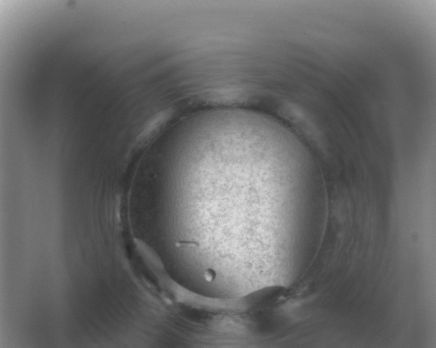 X0000067510115200604150143