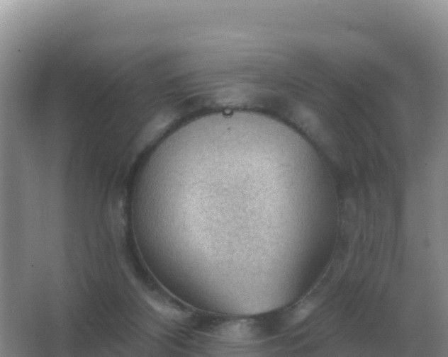 X0000067510116200604150143