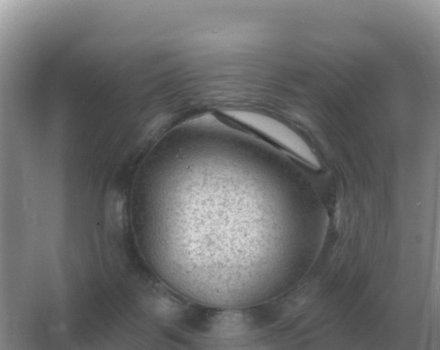 X0000067510123200604150143