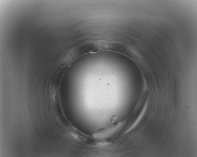 X0000067510125200604150143