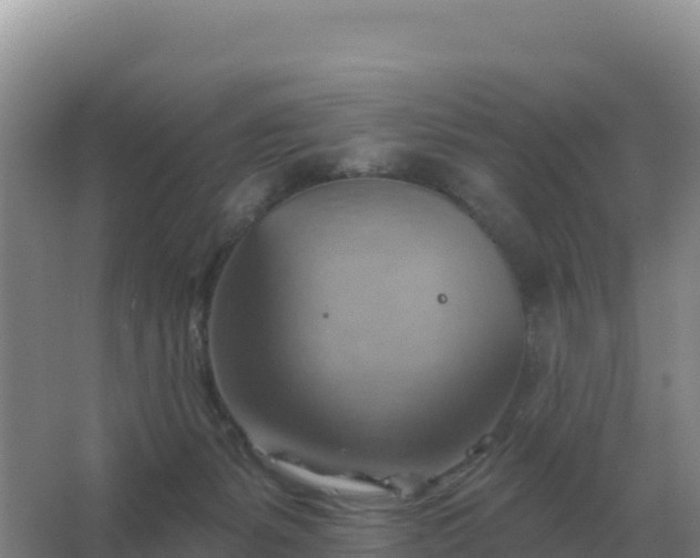 X0000067510127200604150143