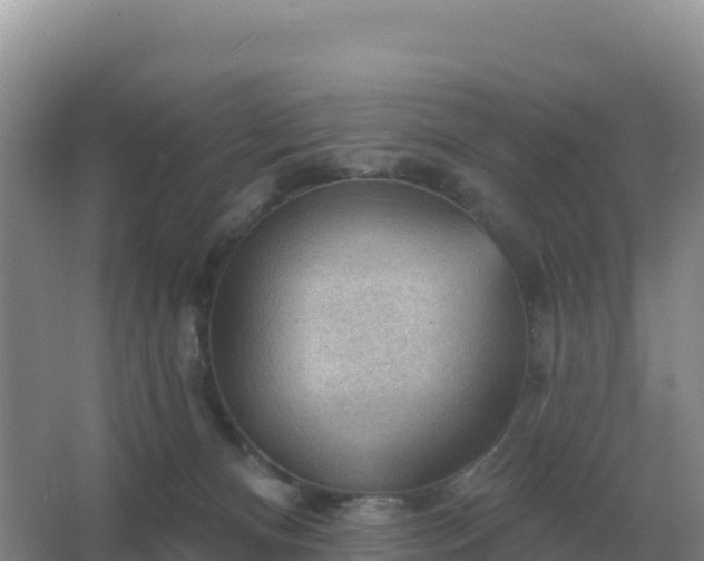 X0000067510128200604150143