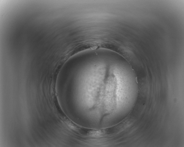 X0000067510131200604150143