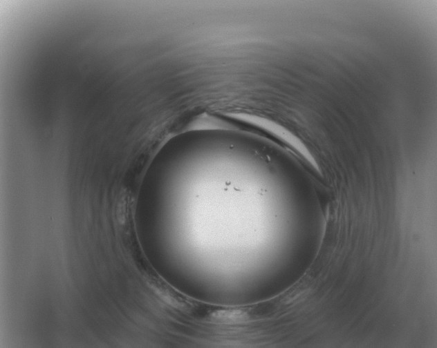 X0000067510133200604150143