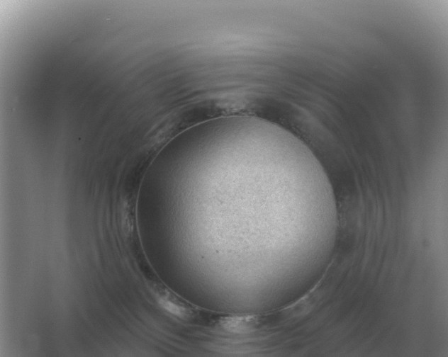 X0000067510136200604150143