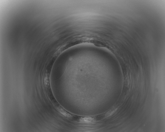 X0000067510137200604150143