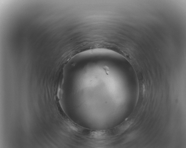 X0000067510139200604150143