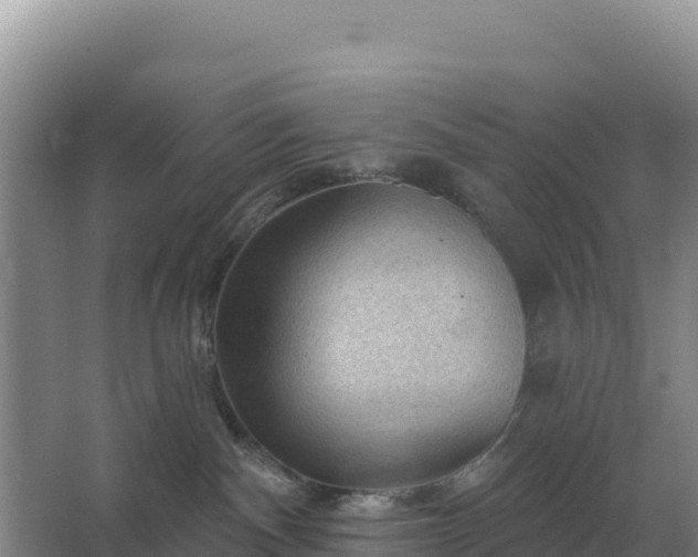 X0000067510140200604150143