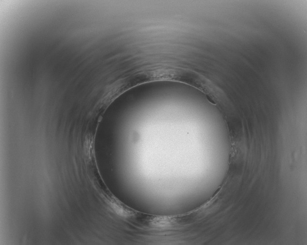 X0000067510142200604150143