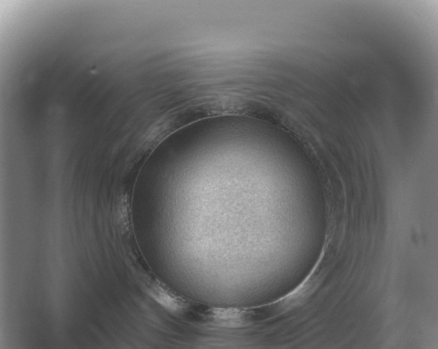 X0000067510144200604150143