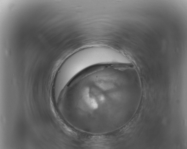 X0000067510145200604150142