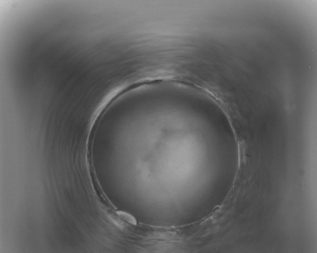 X0000067510147200604150142