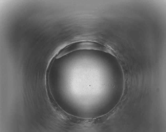 X0000067510148200604150142