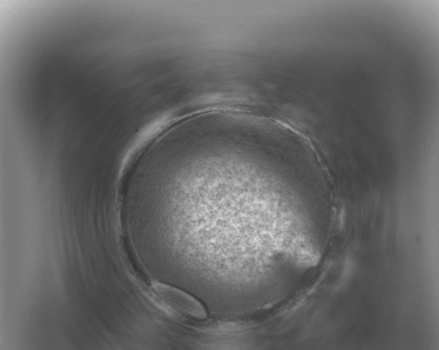 X0000067510149200604150142