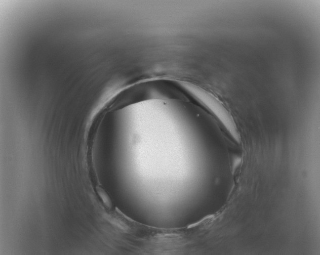 X0000067510150200604150142