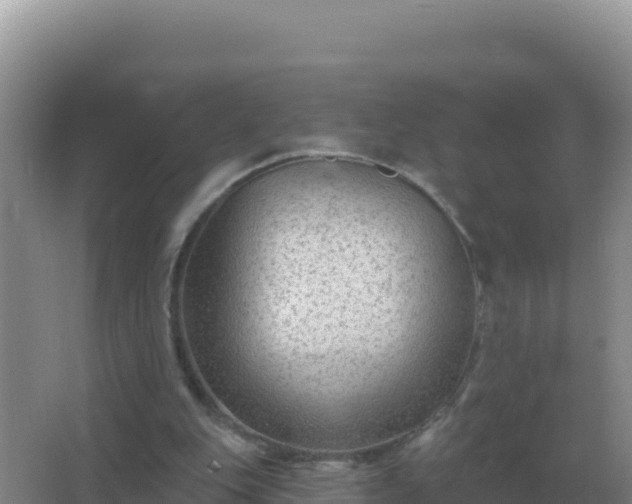 X0000067510151200604150142