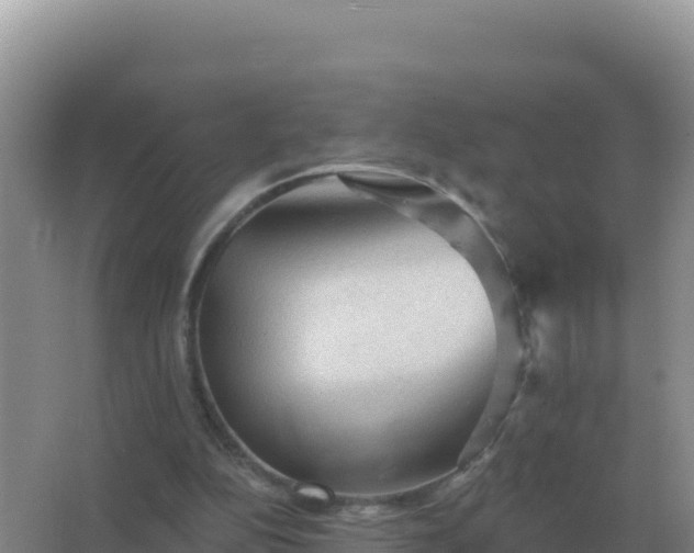 X0000067510152200604150142