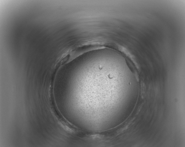 X0000067510153200604150142