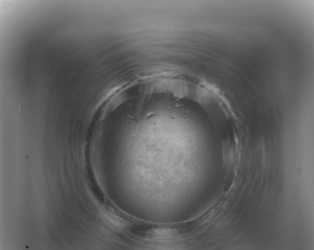 X0000067510154200604150142