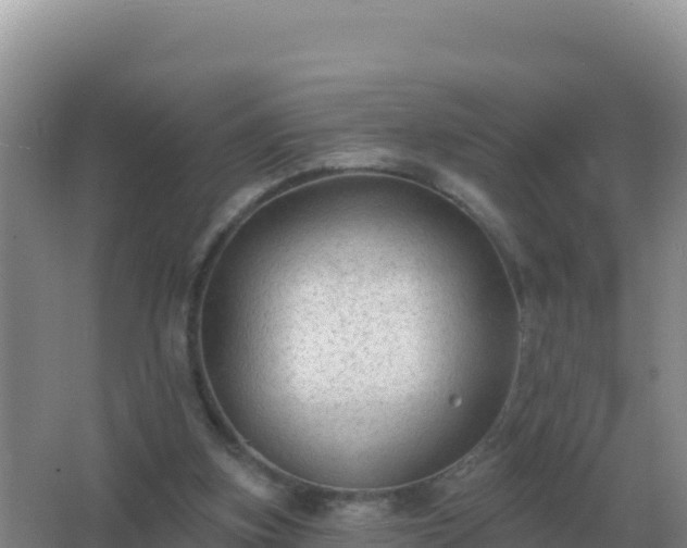 X0000067510155200604150142