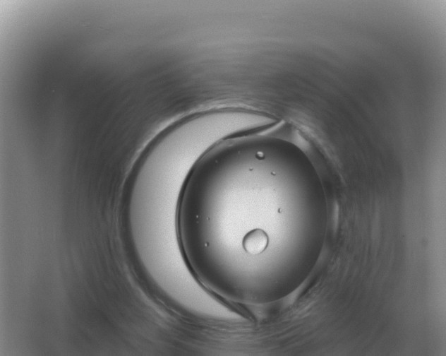 X0000067510156200604150142