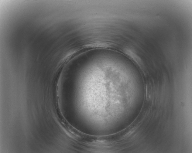 X0000067510157200604150142