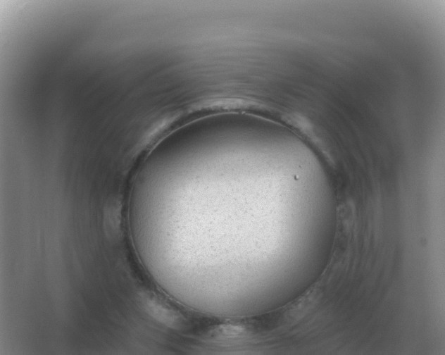 X0000067510159200604150142