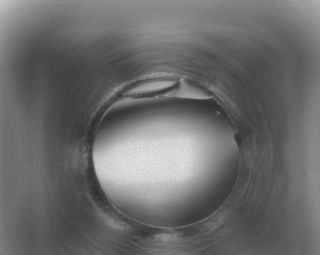 X0000067510160200604150142