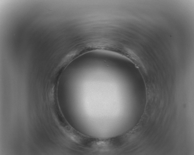 X0000067510163200604150142