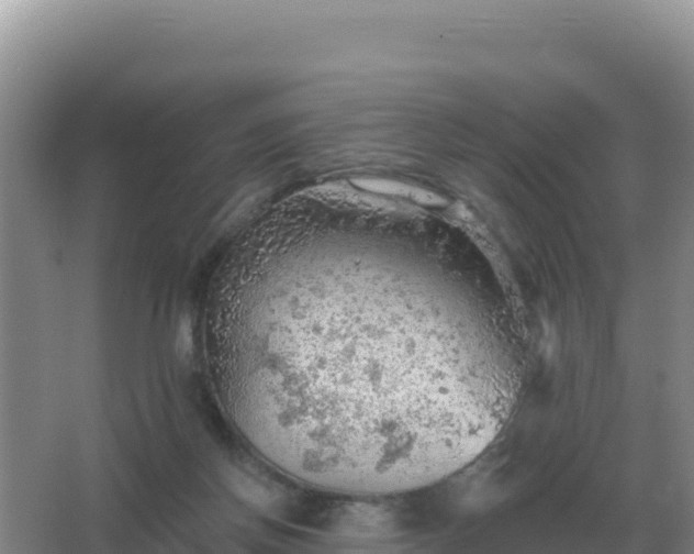 X0000067510166200604150142