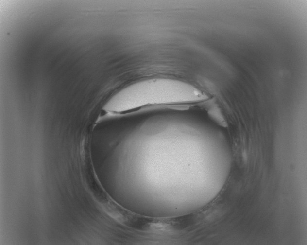 X0000067510167200604150142