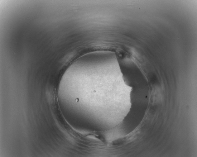 X0000067510168200604150142