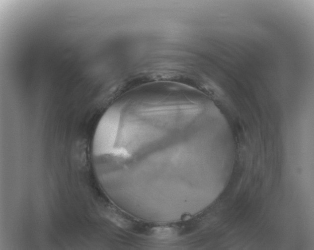 X0000067510169200604150142