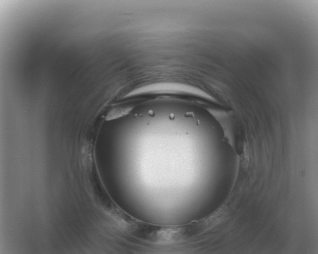 X0000067510172200604150142