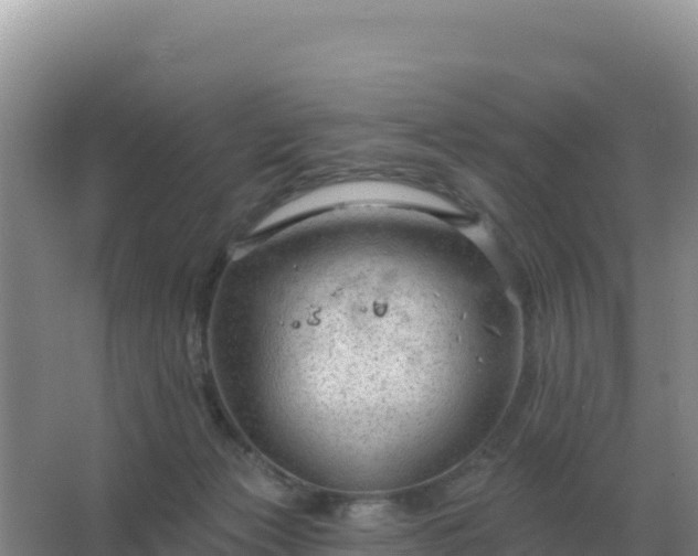 X0000067510173200604150142