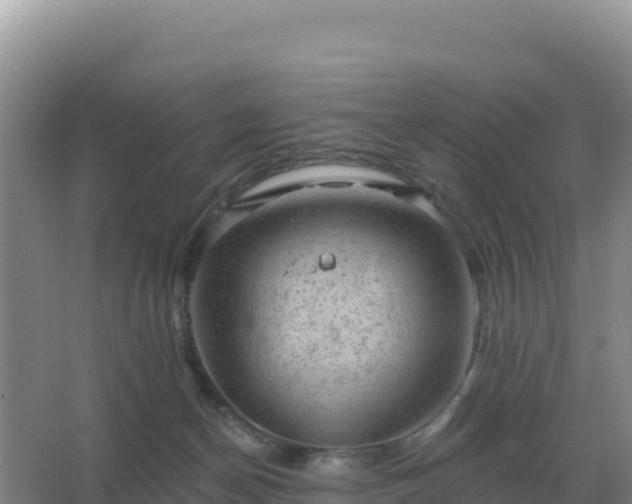 X0000067510174200604150143