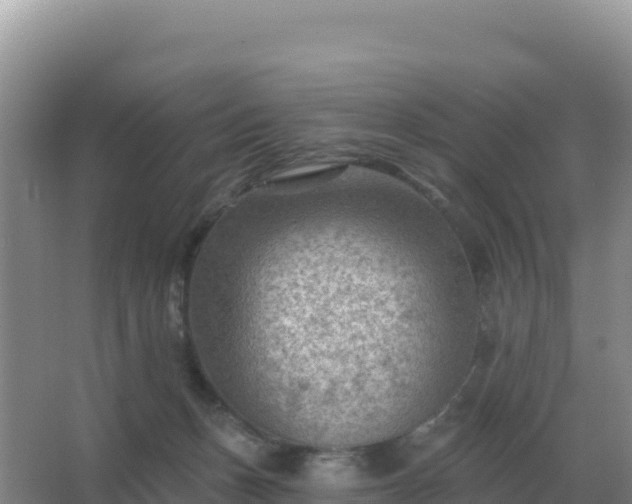 X0000067510175200604150143