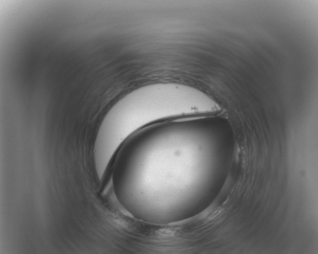 X0000067510176200604150143