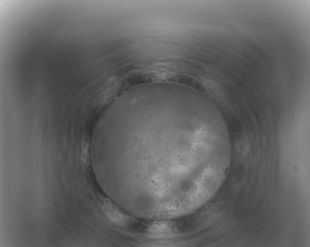 X0000067510177200604150143