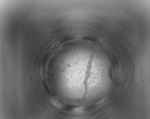 X0000067510178200604150143