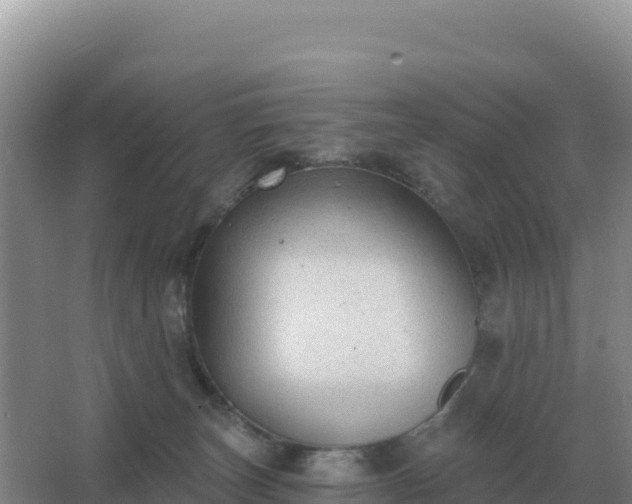 X0000067510179200604150143