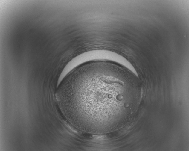 X0000067510185200604150143