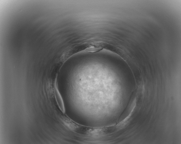 X0000067510186200604150143