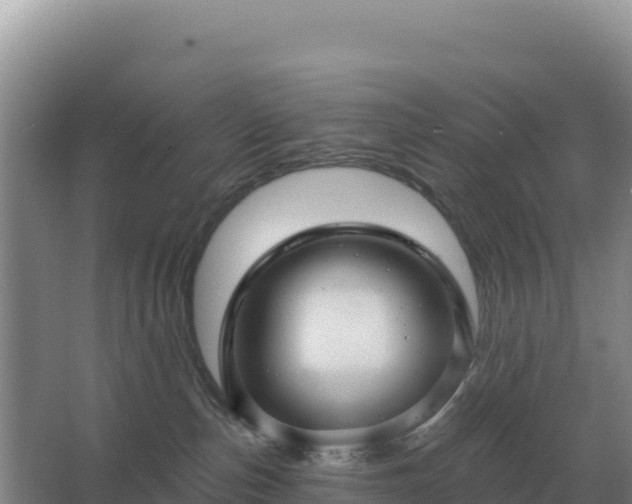 X0000067510187200604150143