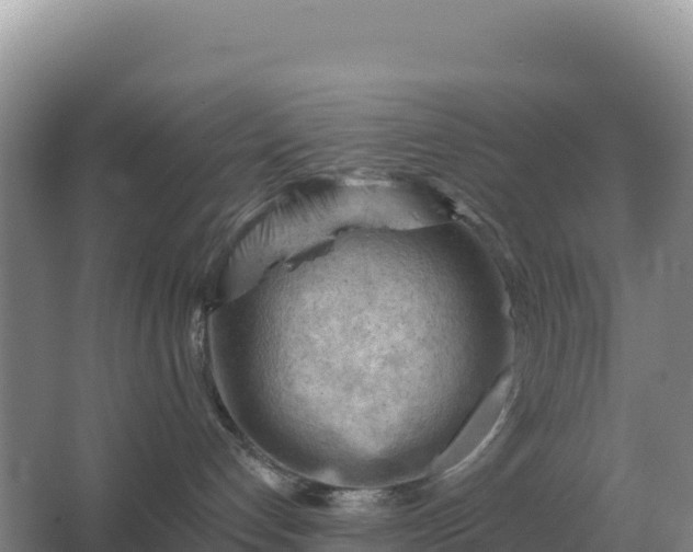 X0000067510192200604150143