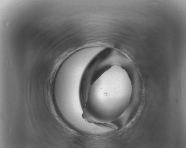 X0000067510193200604150142