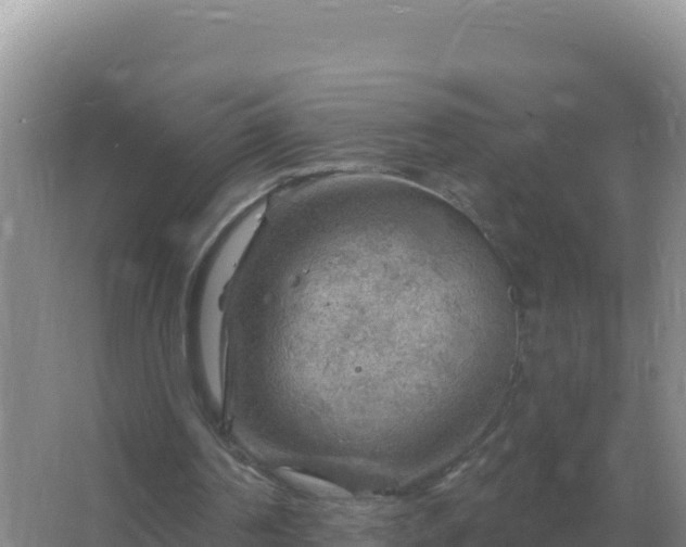 X0000067510194200604150142