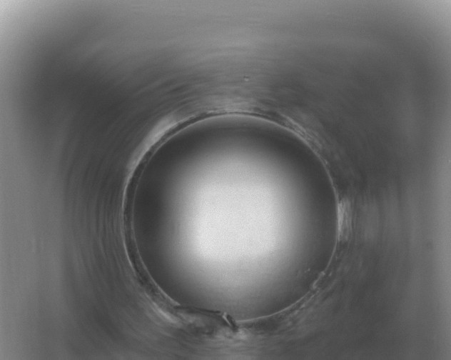 X0000067510195200604150142