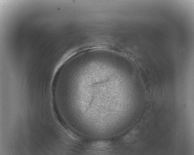 X0000067510198200604150142